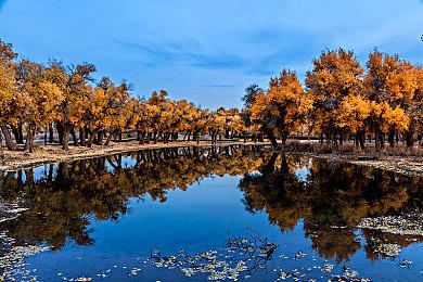  成为“地表最强”！ 刃牙格斗游戏9月11日发售